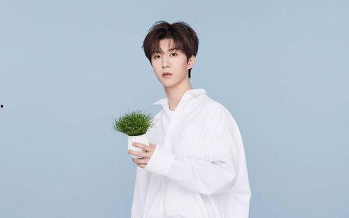 魏大勋爆料范丞丞视频,揭秘娱乐圈幕后故事 第2张 魏大勋爆料范丞丞视频,揭秘娱乐圈幕后故事 第2张