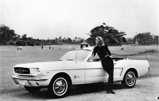 电影《野马》在线观看,探寻自由与束缚的青春之旅