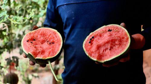 夏天吃瓜群众免费观看  第3张